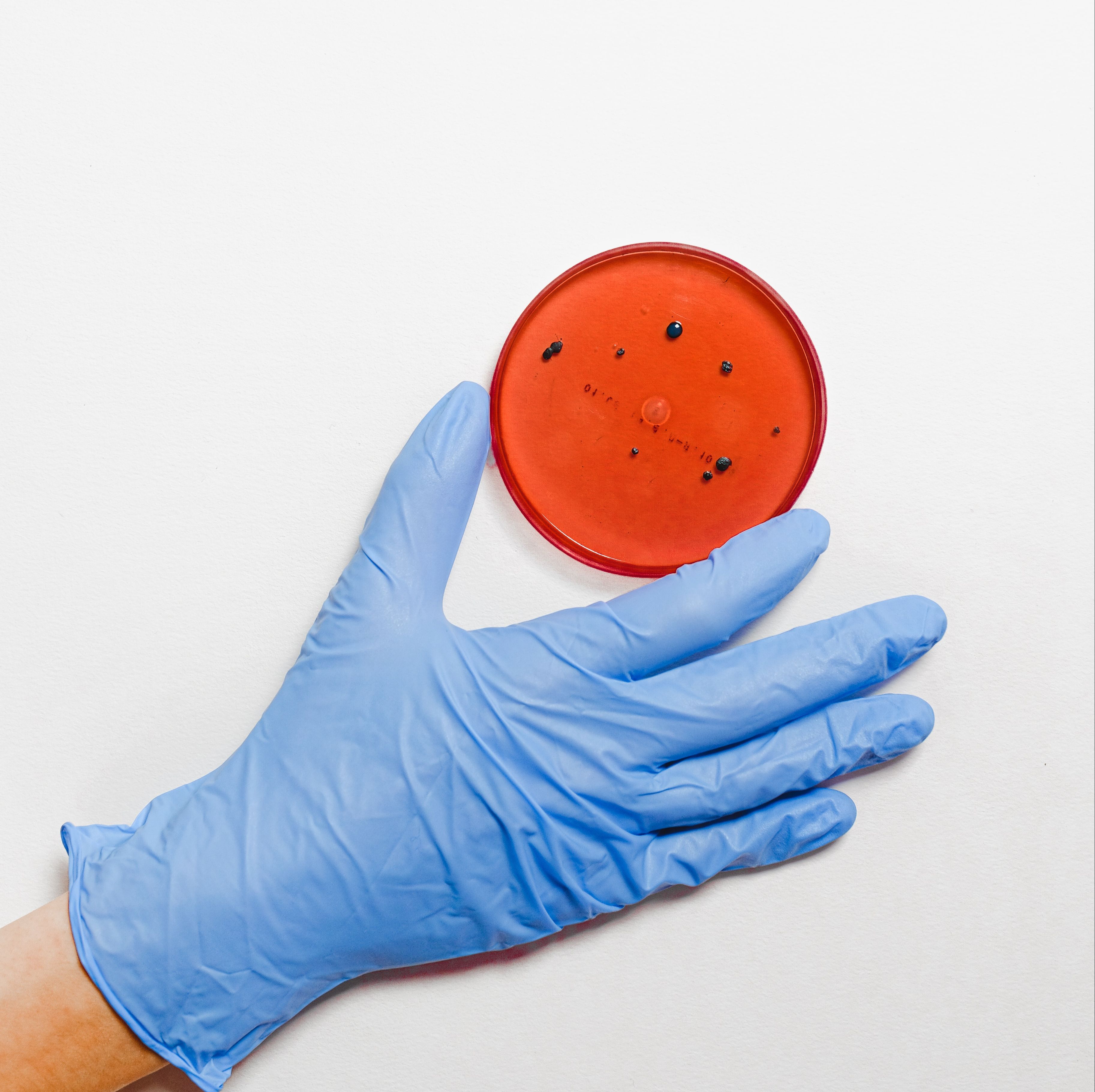  Koronaviruset – er bedriften forberedt? 